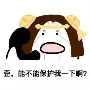歪,能不能保护我一下啊?