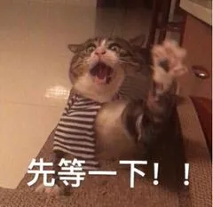 先等一下!