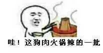 哇.者狗肉火锅辣的一批