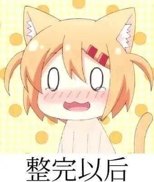 猫咪日常00009-整完以后