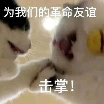 为我们的革命友谊击掌！