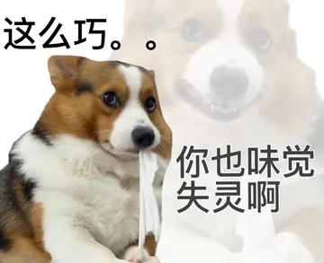 这么巧。你也味觉失灵啊