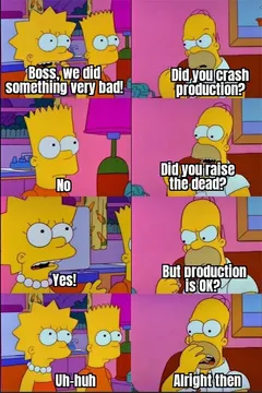 Homer Team Lead
