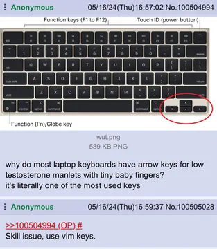 I Use Vim Btw