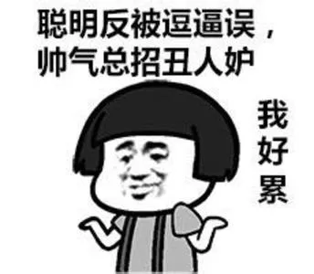聪明反被聪明误，帅气总招丑人妒 我好累