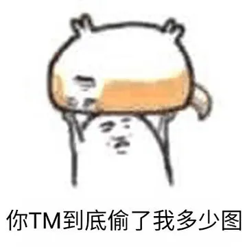 你TM到底偷了我多少图