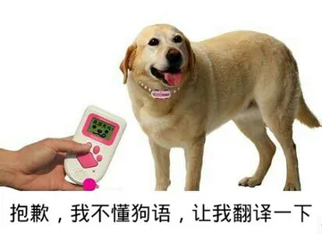 抱歉，我不懂狗语，让我翻译一下！
