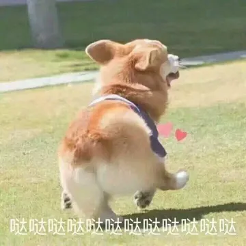 哒哒哒哒哒哒哒哒哒哒哒哒