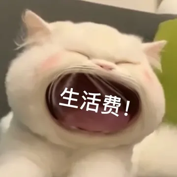 生活费!