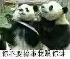 熊猫：你不要搞事我跟你讲