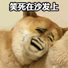笑死在沙发上