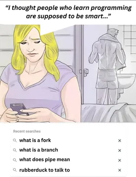 Average Programmer Google History