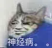 猫：神经病