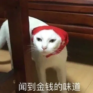 闻到金钱的味道