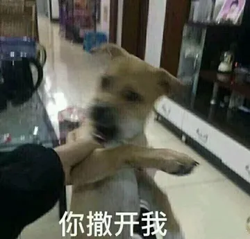 狗子：你撒开我