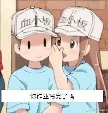 你作业写完了吗?