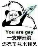 一支空云箭，漂亮萌妹来相见 You are gay