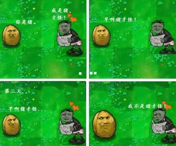 金馆长版植物大战僵尸:你是猪 我是猪才怪 早啊猪才怪 我不是猪才怪