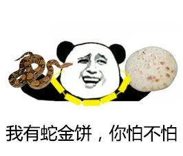 我有蛇金饼（神经病、蛇精病），你怕不怕