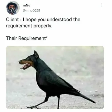 Requirements That We Deserve