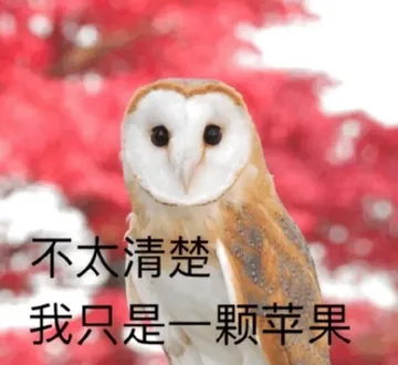 不太清楚我只是一颗苹果