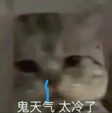 鬼天气太冷了