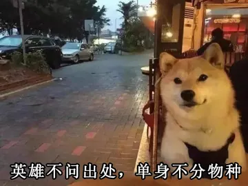 英雄不问出处，单身不分物种