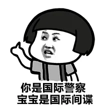 你是国际警察宝宝是国际间谍