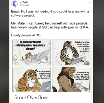 Getting Help With A Software Project