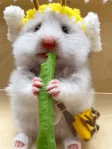 仓鼠吃豆角动图表情包