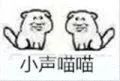 小声喵喵
