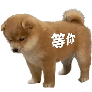等你
