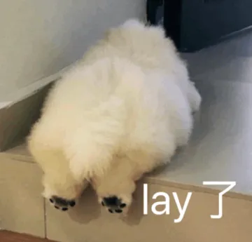 累了 lay 了