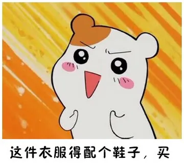 这件衣服得配个鞋子，买