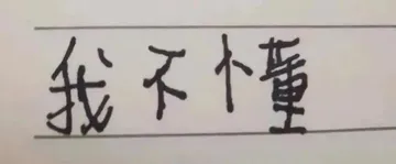 我不个懂