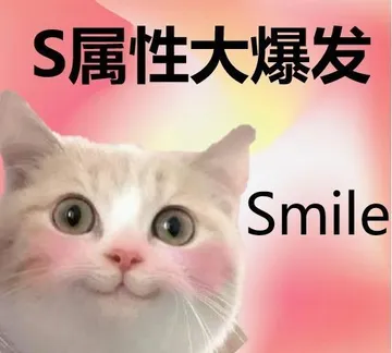 S属性大爆发Smile