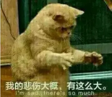 是喵星人啦00006-我的悲伤打个有这么大猫