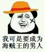 我可是要成为海贼王的男人