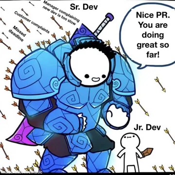 Never Forget That One Sr Dev
