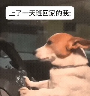 一只狗子开车打哈欠表情包，上了一天班回家的我 困成狗了