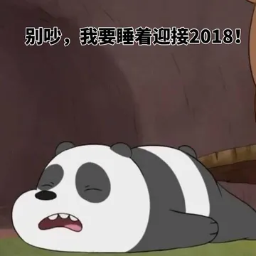 别吵，我要睡着迎接2018