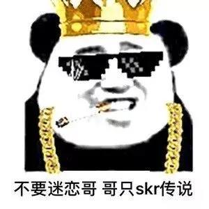 不要迷恋哥，哥只skr传说