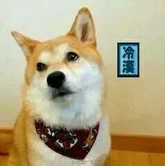 冷漠