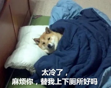 汪星人的表情