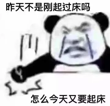 昨天不是刚起过床吗