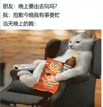 朋友：晚上要出去玩吗？我：抱歉今晚我有事要忙当天晚上的我：a