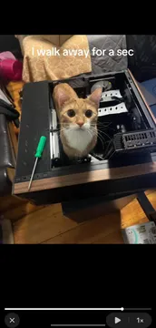 Cat Processing Unit (CPU)