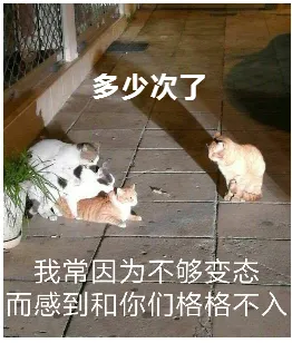 多少次了，我常因为不够变态而感到和你们格格不入
