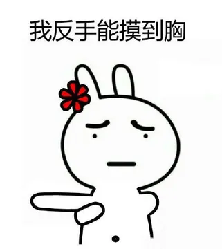 我反手能摸到胸