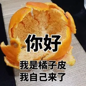 你好我是橘子皮.我自己来了